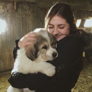 Meet your Posher, Maddie